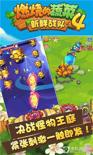 燃烧的蔬菜4无限钻石破解版