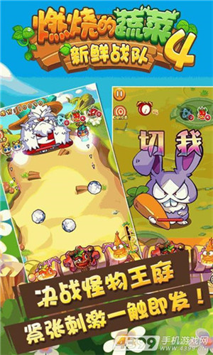 燃烧的蔬菜4无限钻石下载
