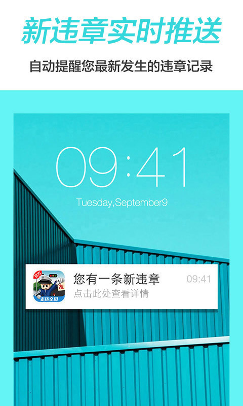 查违章-违章查询截图1