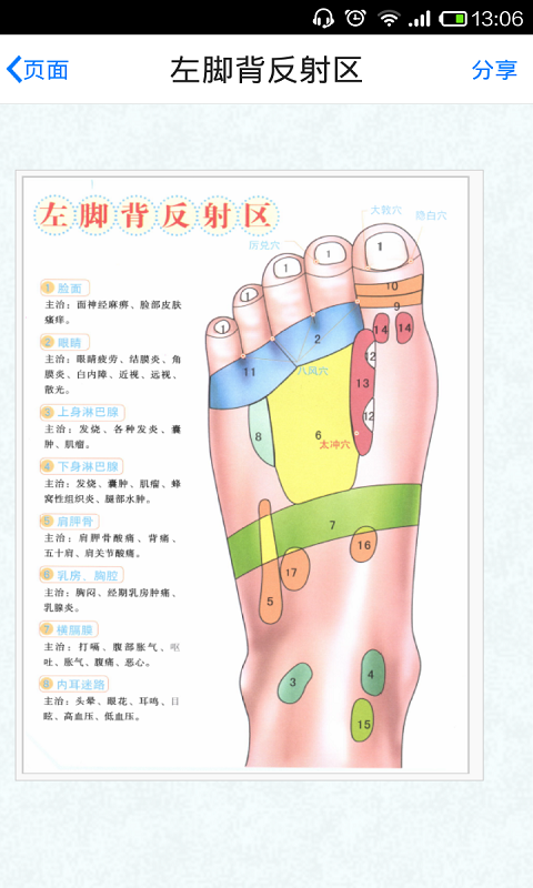 经络穴位按摩速查截图2