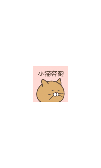 小猫奔跑