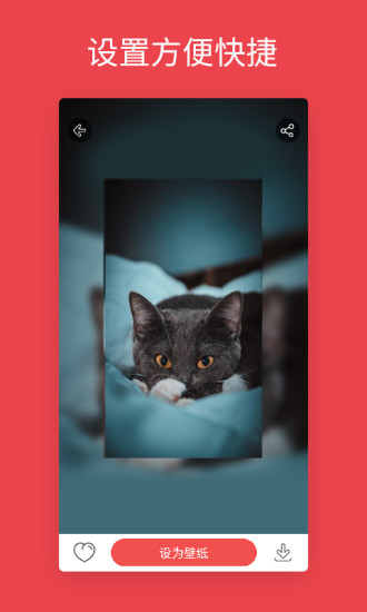 安卓动态壁纸下载安装