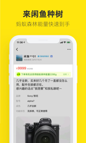 闲鱼app